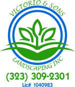 Victorio Landscaping FINAl with royal blue copy